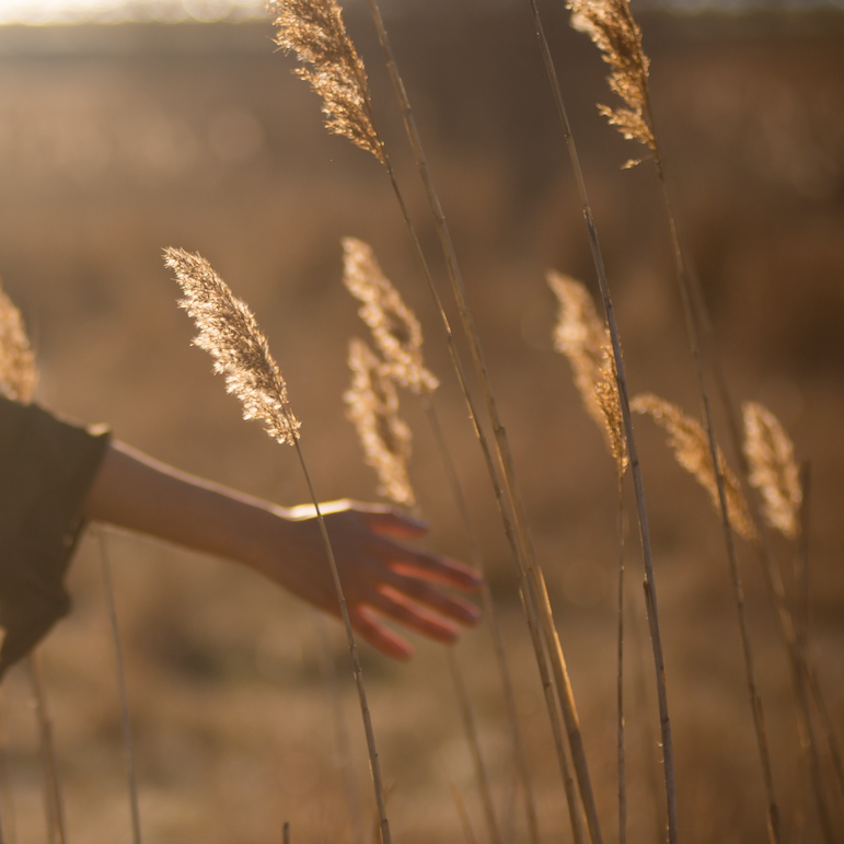 Sands of Nairobi | Body & mind energy